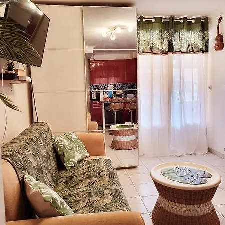 Le Tahiti 4 Pers 600m De La La Faviere *