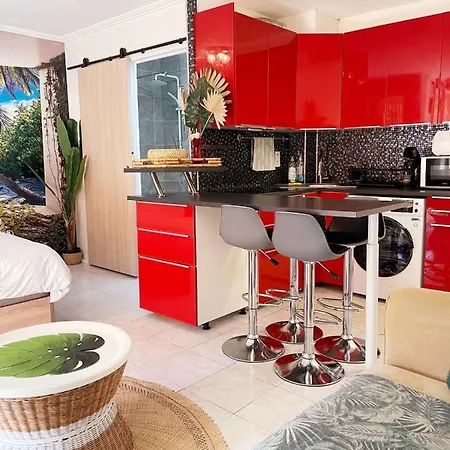 Le Tahiti 4 Pers 600m De La La Faviere Apartment Bormes-les-Mimosas